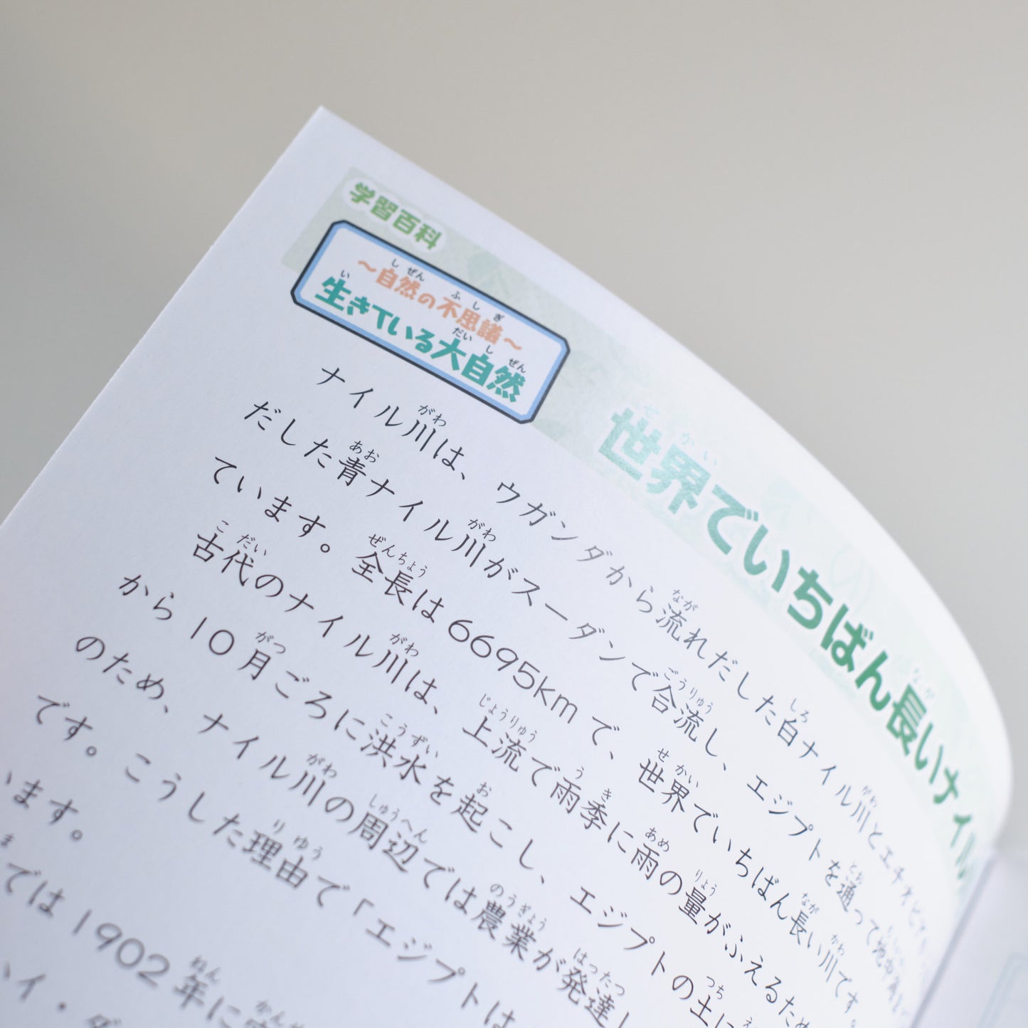 Pokémon Study Notebook - Pikachu