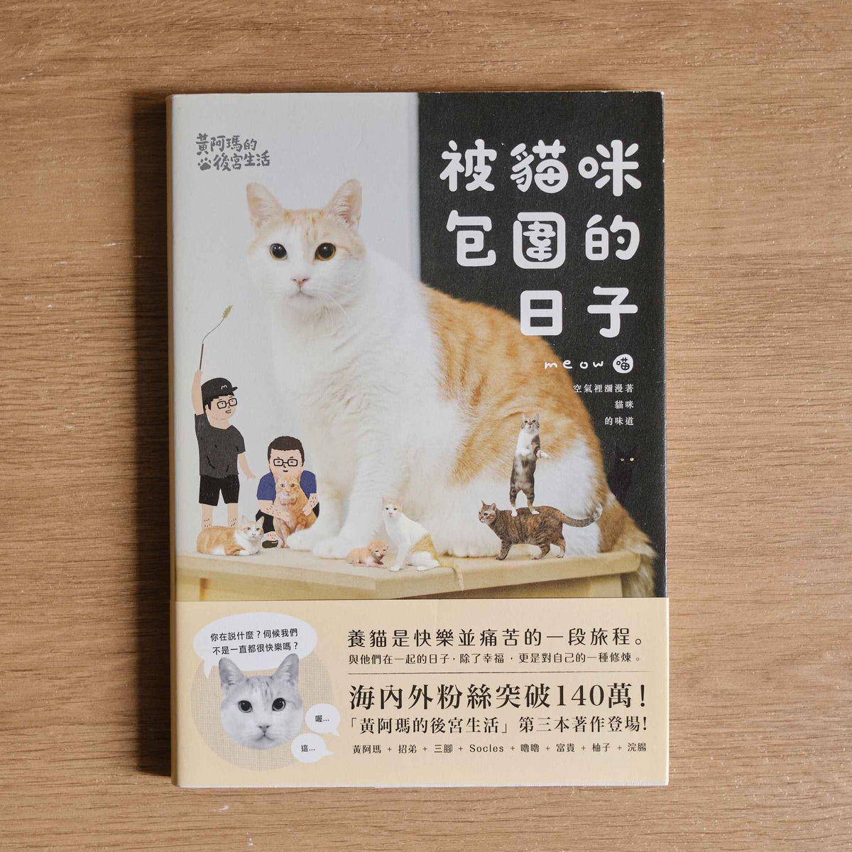 【二手】黃阿瑪的後宮生活：被貓咪包圍的日子