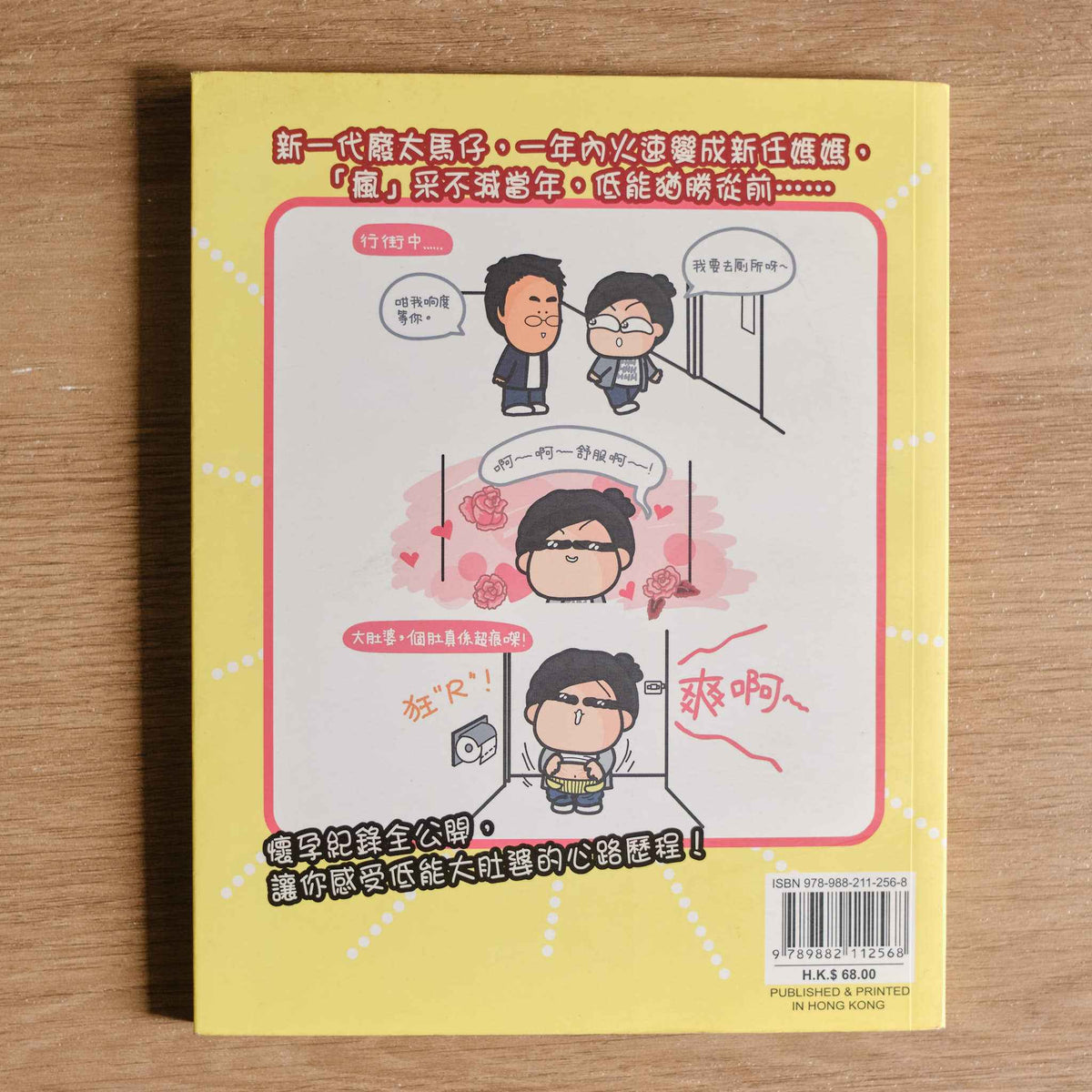 【二手】我的低能大肚之道