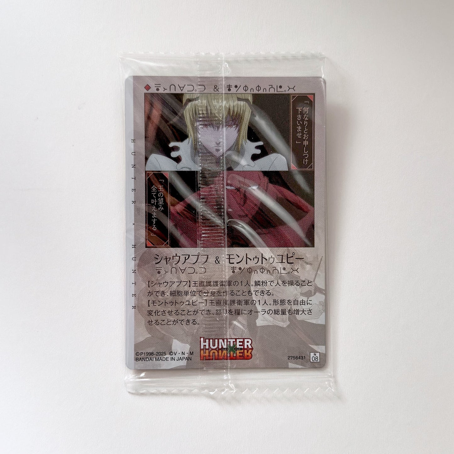 HUNTER×HUNTER 全職獵人 食玩收藏卡第三彈 No.08